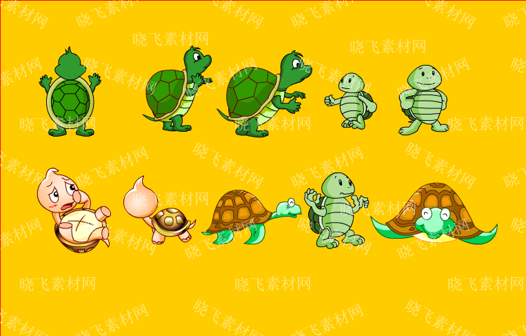 乌龟插图