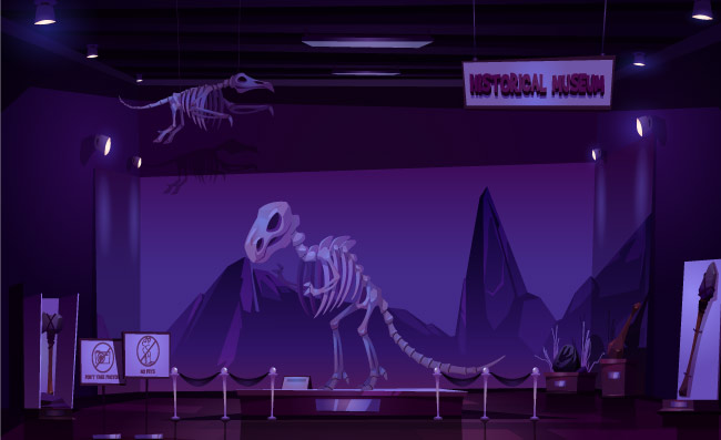 夜间历史博物馆恐龙骨架考古展品矢量卡通内部场景插图插图
